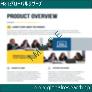 グローバルリサーチ調査レポートのイメージ